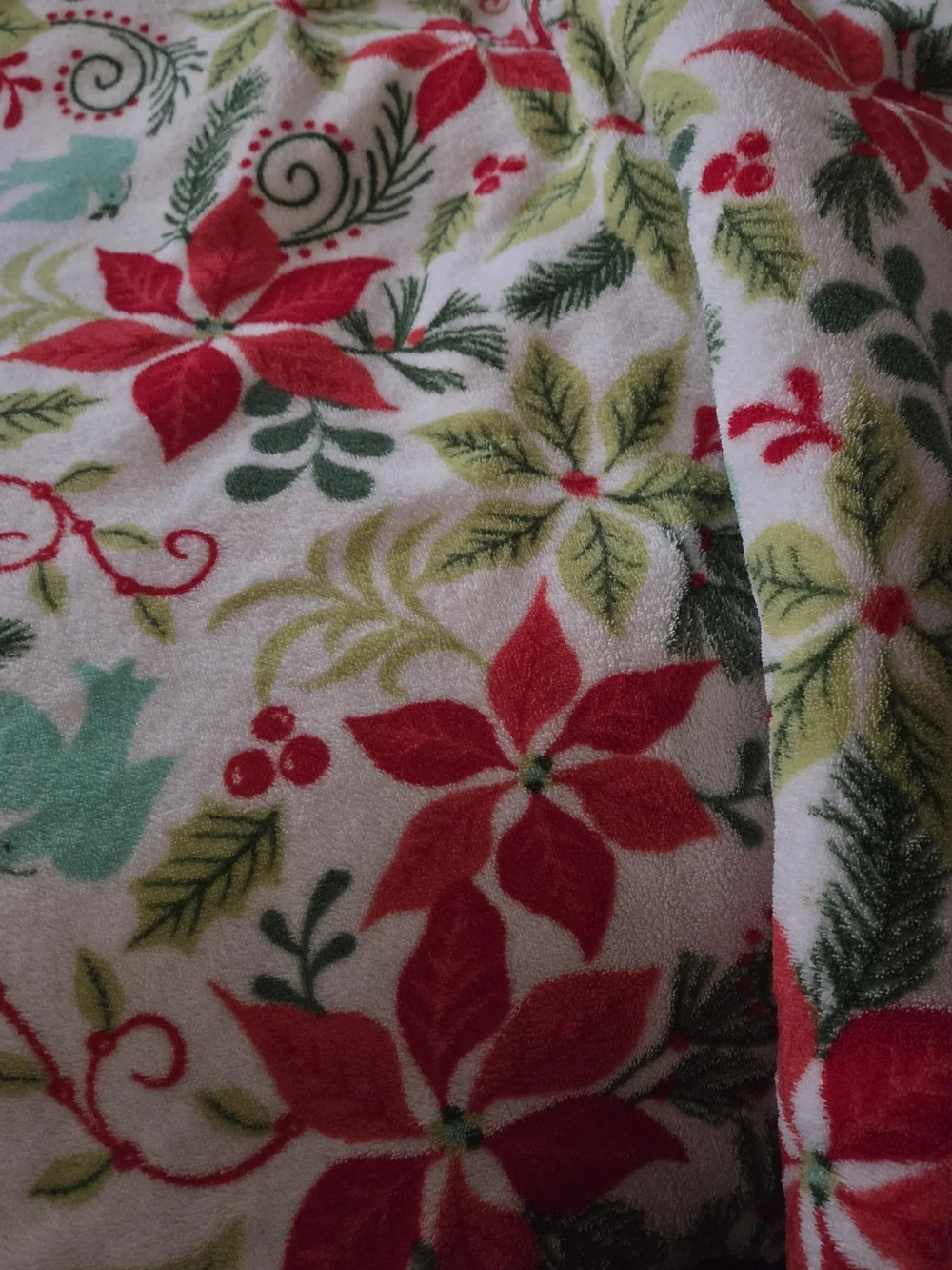 Holiday Poinsettia Plush Throw Blanket - Red, Green & Aqua 52x68